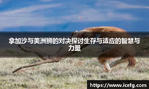 拿加沙与美洲狮的对决探讨生存与适应的智慧与力量